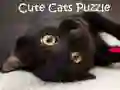 Jwèt Pazzl Chat Cute sou entènèt Jwèt Pazzl Chat Cute sou entènèt