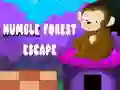 Jwèt Echape nan forè a sou entènèt Jwèt Echape nan forè a sou entènèt