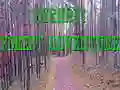 Jwèt Avantur nan Forè Bernati sou entènèt Jwèt Avantur nan Forè Bernati sou entènèt