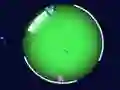 Jwèt Kous Monstr sou entènèt Jwèt Kous Monstr sou entènèt
