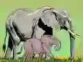 Jwèt Bèt sovaj ak ti pitit yo sou entènèt Jwèt Bèt sovaj ak ti pitit yo sou entènèt