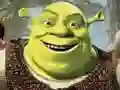 Jwèt Koleksyon Puzle Shrek sou entènèt
