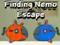 Jwèt Echape Nemo sou entènèt Jwèt Echape Nemo sou entènèt