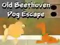 Jwèt Soti Chen Bondye Beethoven sou entènèt Jwèt Soti Chen Bondye Beethoven sou entènèt