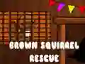 Jwèt Reskò Blat Squirrel sou entènèt Jwèt Reskò Blat Squirrel sou entènèt