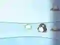 Jwèt Gason kont Penguin sou entènèt