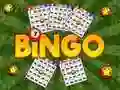 Jwèt Bingo Dekouvri sou entènèt Jwèt Bingo Dekouvri sou entènèt