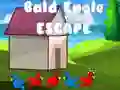 Jwèt Eskap grunt la sou entènèt