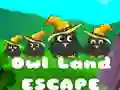 Jwèt Soti nan Tè Owls sou entènèt