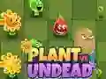 Jwèt Plant vs Mòde sou entènèt Jwèt Plant vs Mòde sou entènèt
