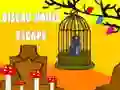 Jwèt Soti nan Kay Oiseau sou entènèt Jwèt Soti nan Kay Oiseau sou entènèt