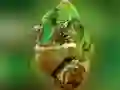 Jwèt Puzle Kaméléon sou entènèt