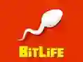 Jwèt BitLavi sou entènèt Jwèt BitLavi sou entènèt