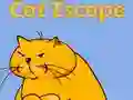 Jwèt Katz sote sou entènèt Jwèt Katz sote sou entènèt