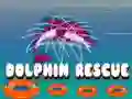 Jwèt Reskons delfin sou entènèt