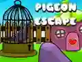 Jwèt Echapman Pigeon sou entènèt Jwèt Echapman Pigeon sou entènèt