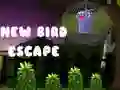 Jwèt Nouvo Ekspozisyon Oiseau sou entènèt Jwèt Nouvo Ekspozisyon Oiseau sou entènèt