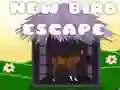 Jwèt Escape cheval la sou entènèt Jwèt Escape cheval la sou entènèt