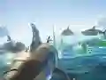 Jwèt Bato Requin sou entènèt Jwèt Bato Requin sou entènèt