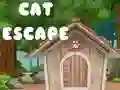 Jwèt Fug de chat sou entènèt Jwèt Fug de chat sou entènèt