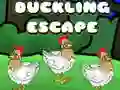 Jwèt Echapman ti canard la sou entènèt Jwèt Echapman ti canard la sou entènèt