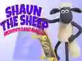 Jwèt Shaun Mouton: Jwèt Kat Memwa sou entènèt Jwèt Shaun Mouton: Jwèt Kat Memwa sou entènèt