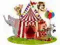 Jwèt Puzzò Bèt Gason sou entènèt Jwèt Puzzò Bèt Gason sou entènèt