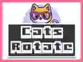 Jwèt Chat ap Wontan sou entènèt Jwèt Chat ap Wontan sou entènèt