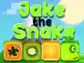 Jwèt Jake Serpent sou entènèt Jwèt Jake Serpent sou entènèt