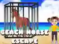 Jwèt Evakye Chwal Plaj sou entènèt Jwèt Evakye Chwal Plaj sou entènèt