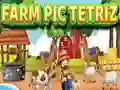 Jwèt Fèm Pic Tetriz sou entènèt