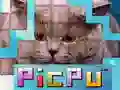 Jwèt PicPu Chat sou entènèt Jwèt PicPu Chat sou entènèt