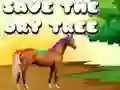 Jwèt Sove Dri a sèch sou entènèt Jwèt Sove Dri a sèch sou entènèt