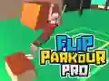 Jwèt Flip Parkour Pro sou entènèt Jwèt Flip Parkour Pro sou entènèt