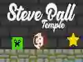 Jwèt Tanp Steve Ball sou entènèt Jwèt Tanp Steve Ball sou entènèt