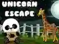 Jwèt Kach vivan yonikò sou entènèt Jwèt Kach vivan yonikò sou entènèt