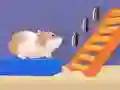 Jwèt Labirent Hamster sou entènèt Jwèt Labirent Hamster sou entènèt