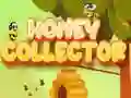 Jwèt Kolektè Mèv sou entènèt Jwèt Kolektè Mèv sou entènèt