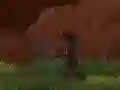 Jwèt Ninja Faz sou entènèt Jwèt Ninja Faz sou entènèt