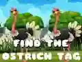 Jwèt Jwenn etikèt ostrich la sou entènèt Jwèt Jwenn etikèt ostrich la sou entènèt