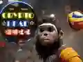 Jwèt Bòl Tèt Kripto sou entènèt