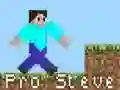 Jwèt Pro Steve sou entènèt Jwèt Pro Steve sou entènèt