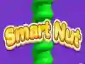 Jwèt Nuts Entelijan sou entènèt Jwèt Nuts Entelijan sou entènèt