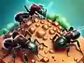 Jwèt Koli fourmis sou entènèt Jwèt Koli fourmis sou entènèt