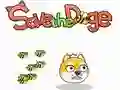 Jwèt Sove Doge a sou entènèt Jwèt Sove Doge a sou entènèt
