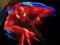Jwèt Puzle Spider-Man sou entènèt