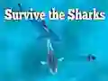 Jwèt Souve pase a requin yo sou entènèt