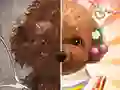 Jwèt Mèt Makiyaj Pou Bèt sou entènèt