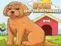 Jwèt Chyen Yo Jwenn Diferans yo sou entènèt Jwèt Chyen Yo Jwenn Diferans yo sou entènèt