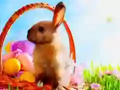 Jwèt Etoile kache Pâques sou entènèt